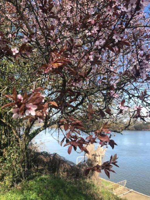 Apartament Les Bambous Poissy Zewnętrze zdjęcie